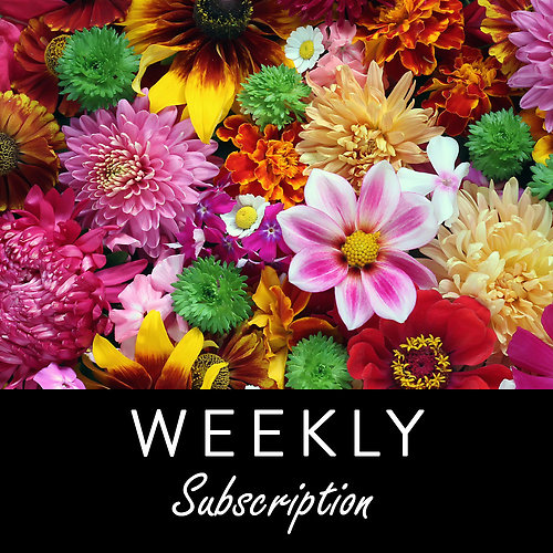 Weekly Floral Subscription