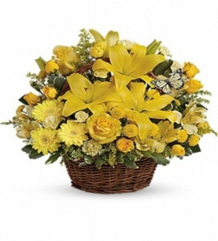 Basket Full of Wishes