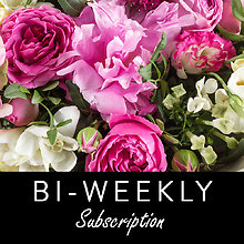 Bi-weekly Floral Subscription