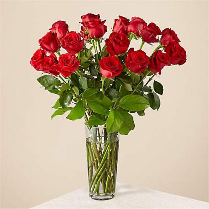 Long Stem Red Rose Bouquet