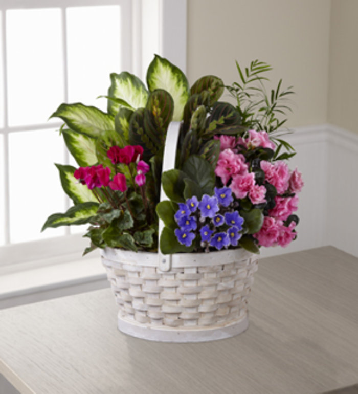 Peaceful Garden™ Planter