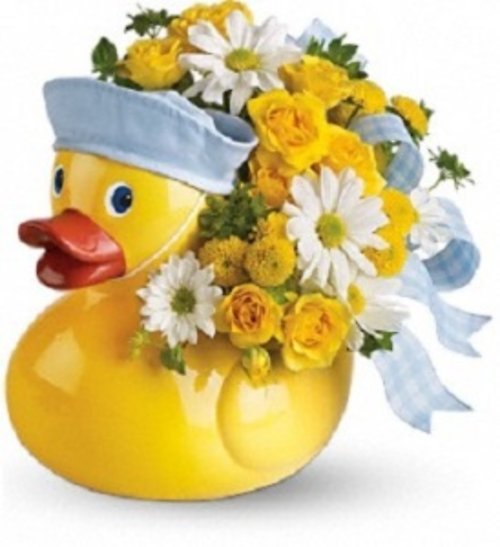 Ducky Delight - Boy