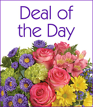 Deal of the Day