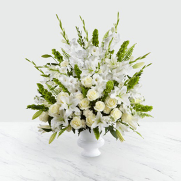 Morning Stars Arrangement