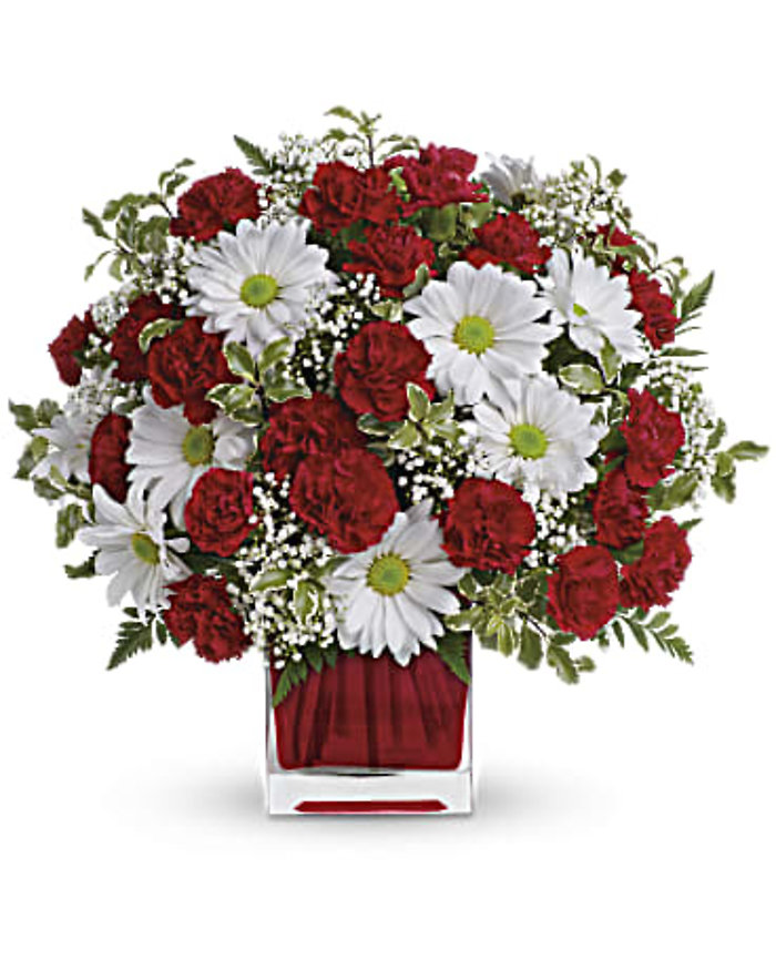 Red and White Delight