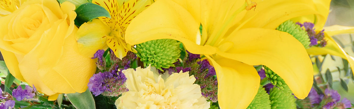 Summer Flower Collection