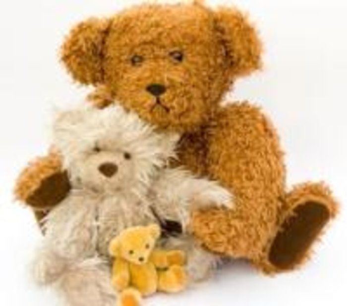 Adorable Plush Bear