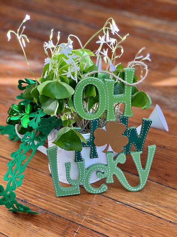 Lucky Shamrock Bundle